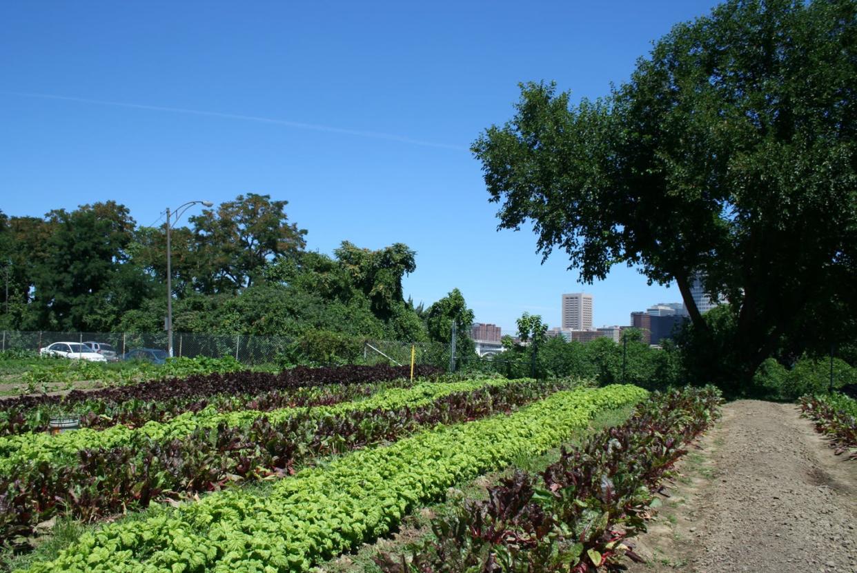 <span class="caption">The Ohio City Farm in Cleveland provides low-cost land, shared facilities and technical assistance to support entrepreneurial farmers.</span> <span class="attribution"><a class="link " href="https://flic.kr/p/eDWgWV" rel="nofollow noopener" target="_blank" data-ylk="slk:Horticulture Group/Flickr;elm:context_link;itc:0;sec:content-canvas">Horticulture Group/Flickr</a>, <a class="link " href="http://creativecommons.org/licenses/by/4.0/" rel="nofollow noopener" target="_blank" data-ylk="slk:CC BY;elm:context_link;itc:0;sec:content-canvas">CC BY</a></span>