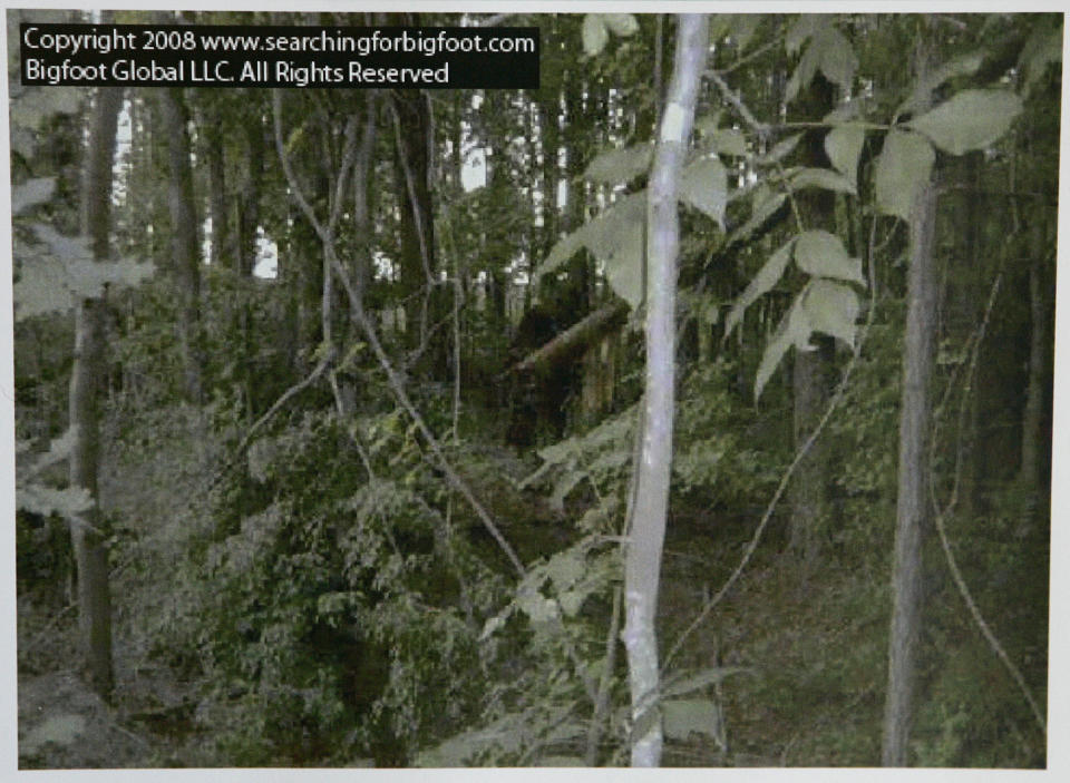 This still frame image from video provided by Bigfoot Global LLC, shows what is claimed by them to be a bigfoot or sasquatch creature in an undisclosed area of a northern Georgia forest in June 2008. (AP Photo/Bigfoot Global LLC)