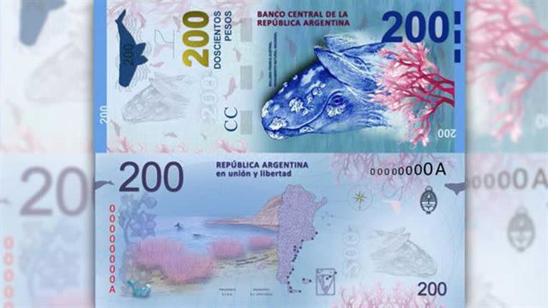 La ballena franca austral, la figura del billete de 200 pesos