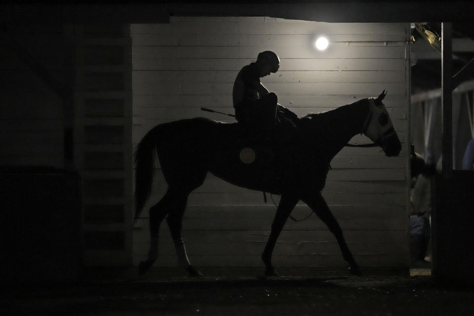 A horse cools down in it's barn after an early-morning workout at Churchill Downs Monday, April 29, 2024, in Louisville, Ky. The 150th running of the Kentucky Derby is scheduled for Saturday, May 4. (AP Photo/Charlie Riedel)