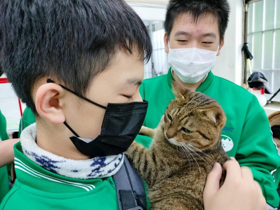 新北市三芝國中師生參訪三芝動物之家進行生命教育課程，多名同學人生第一次抱起貓咪初體驗。　（新北動保處提供）