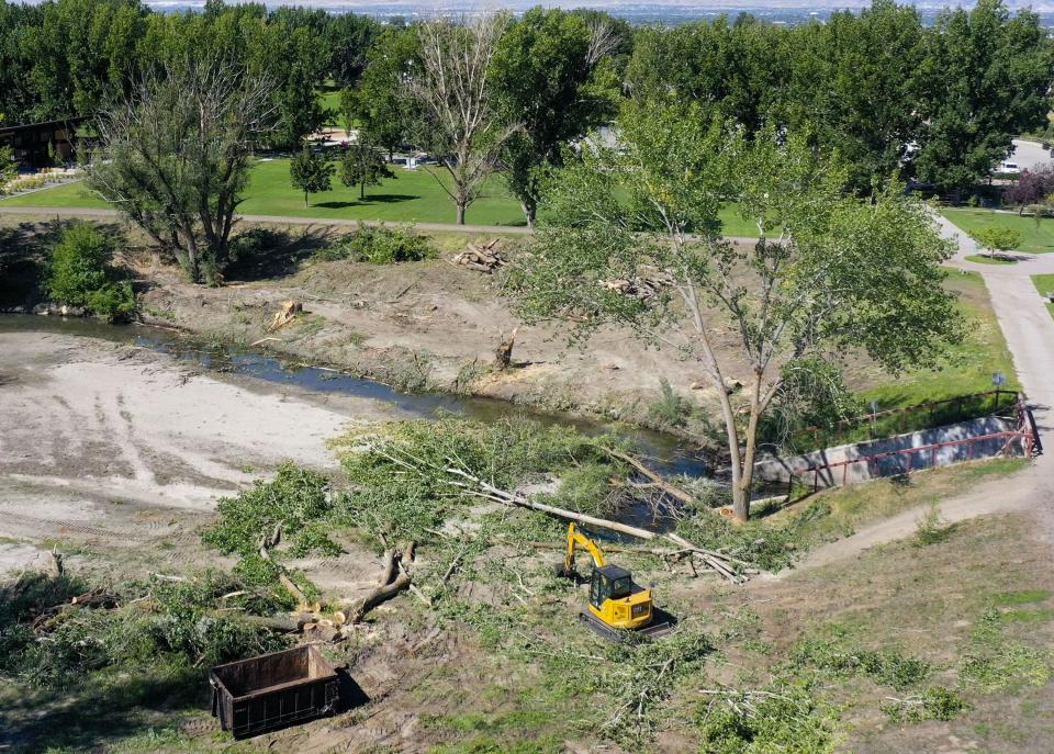 Downed trees and debris are cleared up along Cottonwood Creek at Wheeler Farm in Murray on Thursday, Sept. 7, 2023. | Laura Seitz, Deseret News