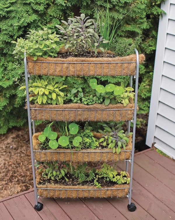 herb garden ideas rolling cart