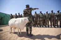 A sheep passes Senegalese troops standing in formation for the arrival of African Union?United Nations mission in Darfur (UNAMID) Force Commander Lieutenant General Patrick Nyamvumba of Rwanda at the Umm Baru team site February 22, 2012. REUTERS/UNAMID/Albert Gonzalez Farran/Handout (SUDAN - Tags: POLITICS ANIMALS) FOR EDITORIAL USE ONLY. NOT FOR SALE FOR MARKETING OR ADVERTISING CAMPAIGNS. THIS IMAGE HAS BEEN SUPPLIED BY A THIRD PARTY. IT IS DISTRIBUTED, EXACTLY AS RECEIVED BY REUTERS, AS A SERVICE TO CLIENTS