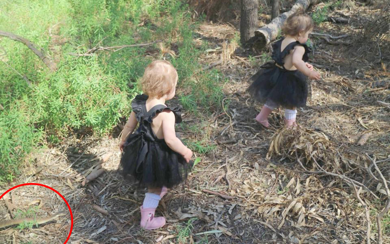 Stacee Carter had no idea just what was following her precious twin daughters as they adventured through Kings Billabong Park in Mildura on Wednesday. Image: Facebook/Stacee Carter