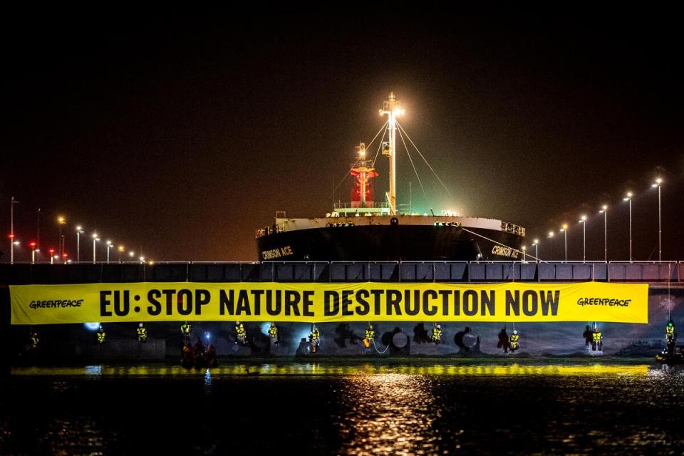 2022年5月11日，60多名來自16國的綠色和平行動者封鎖阿姆斯特丹港口18小時，要求歐盟制定強而有力的反毀林法案，立即停止破壞自然森林。