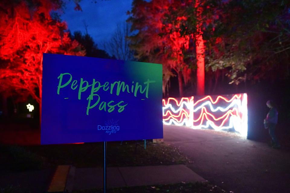 Dazzling Nights is a professional light show at the Jacksonville Arboretum.