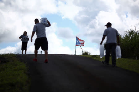 A woman waits as municipal workers distribute water and ice provided by the U.S. Federal Emergency Management Agency (FEMA), after Hurricane Maria hit the island in September 2017, in Comerio, Puerto Rico January 31, 2018. Picture taken January 31, 2018. REUTERS/Alvin Baez