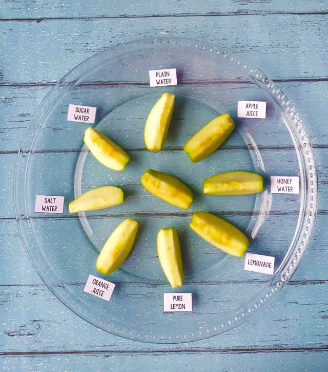 How Much Water Is in an Apple? Science Activity