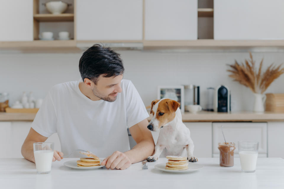 La restricción de calorías ha demostrado que la esperanza de vida de un perro puede aumentar en casi dos años. Foto: Getty images. 