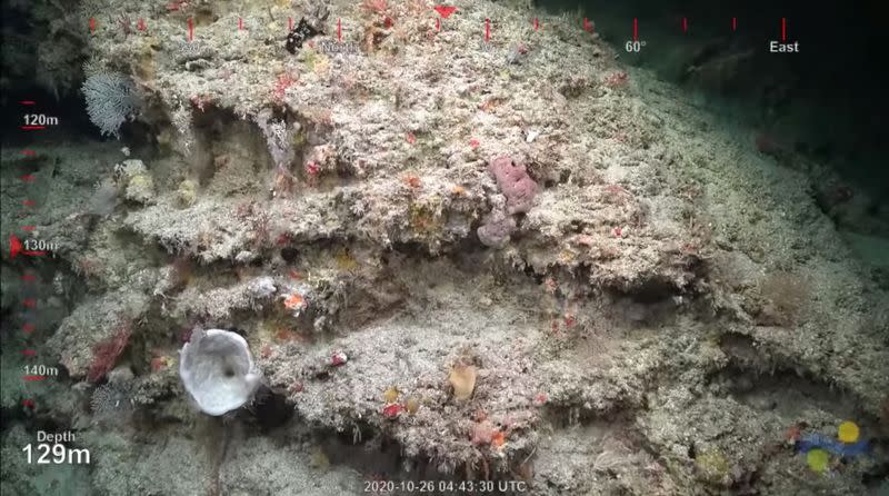 Discovery of 500 metre tall coral reef off Australia's Great Barrier Reef