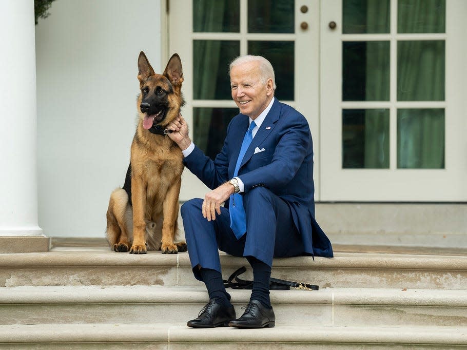 Joe Biden sits on the White House steps with his dog, Commander