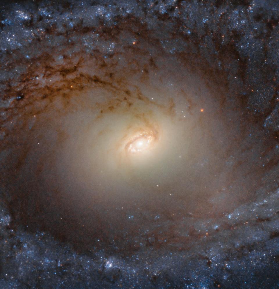 spiral galaxy