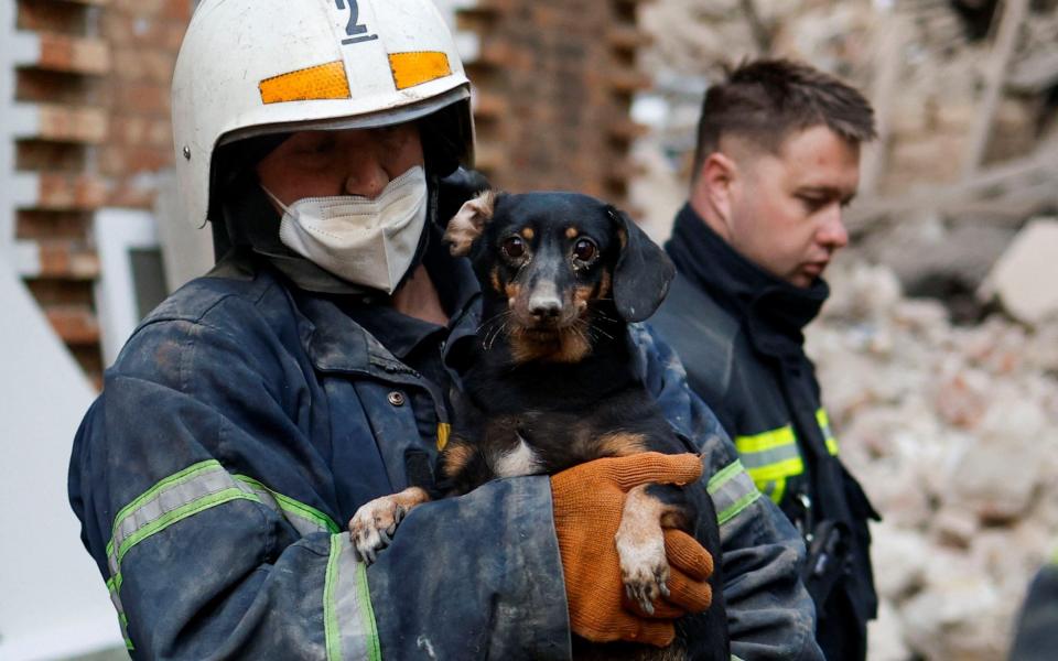 A rescuer carries a dog at a site of a residential building heavily damaged by a Russian missile strike in Mykolaiv - VALENTYN OGIRENKO/ REUTERS