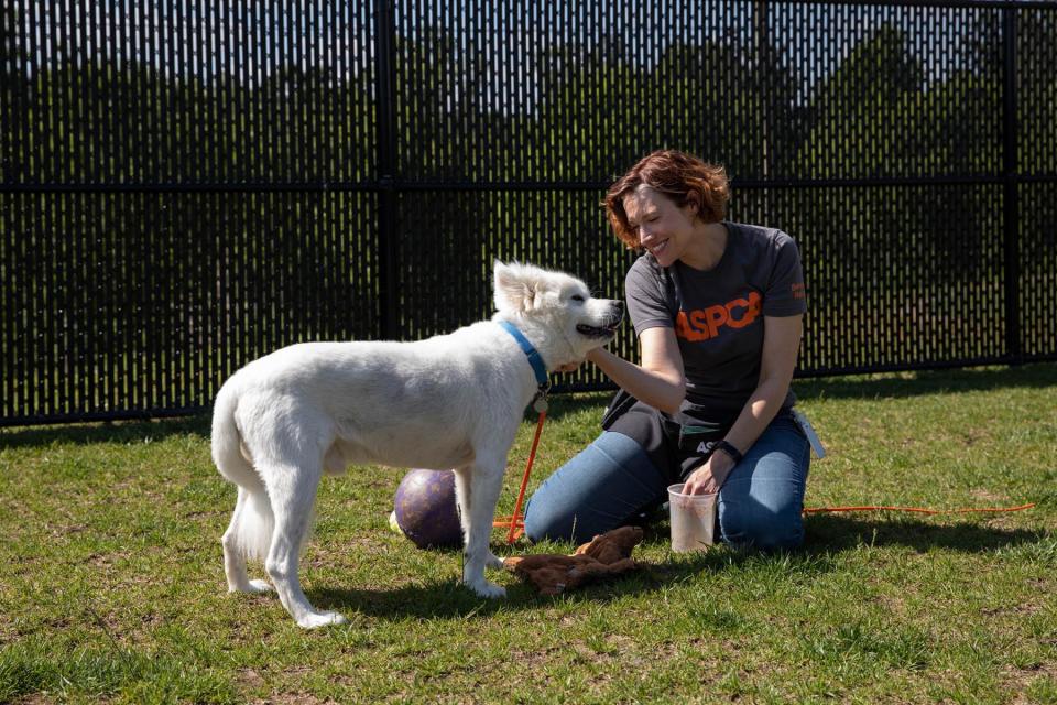 Kristen Collins helped found the BRC after seeing too many dogs put down: “Not only had they never been loved, they’ve never really been dogs.” - Credit: ASPCA