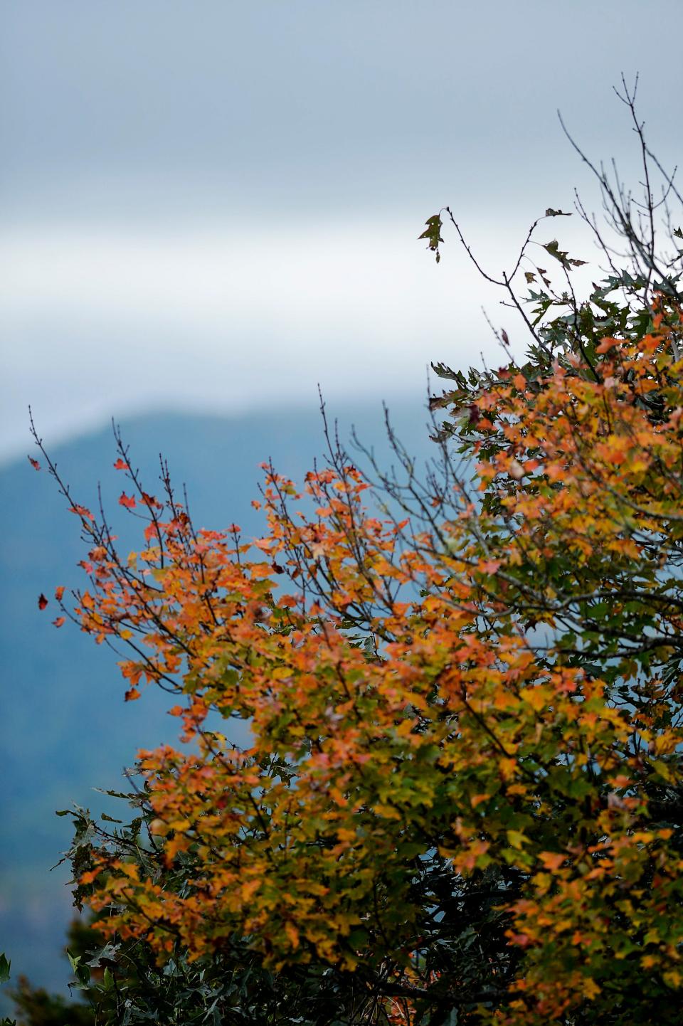 Views along the Blue Ridge Parkway October 11, 2021.