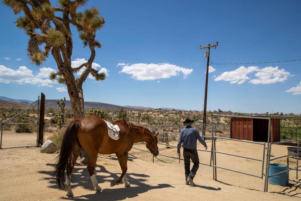 Jeff Eamer, a psychotherapist, returns rescue horse Freckles to rest after a walk in the desert in Yucca Valley, Calif., on June 29, 2022.