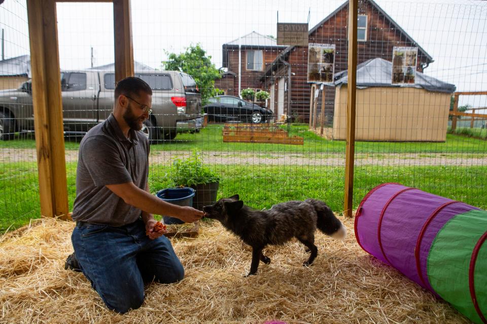 Groundbreaking event for a new facility at Walking Wild Fox Rescue and Wolf Dog Rescue in Newark, Ohio on June 3, 2021