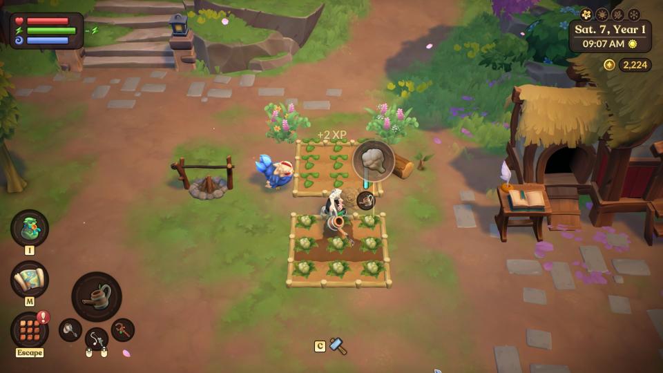 Fae Farm - a player waters a small square of cauliflower crops