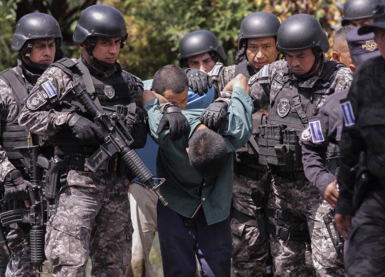 Fuerzas Especiales de la Policía Nacional Civil trasladan a hombres detenidos por sus posibles vínculos con pandillas en Comasagua, El Salvador, el lunes 3 de octubre de 2022. Más de 2.000 soldados y policías rodearon y cerraron Comasagua el domingo para buscar pandilleros callejeros acusados de asesinato. (Foto AP/Salvador Meléndez)