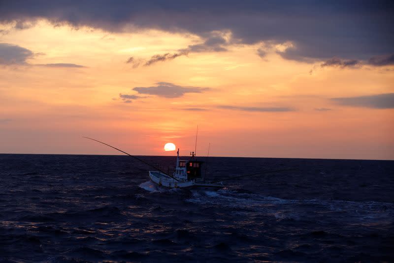 The Wider Image: Fatty 'katsuo' fish may foreshadow climate change, threat to Japan's sushi