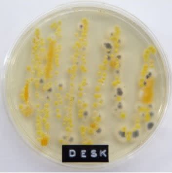 germs on an office desk