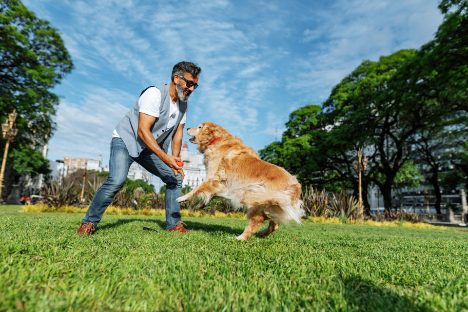 Man playing with a dog in a park
