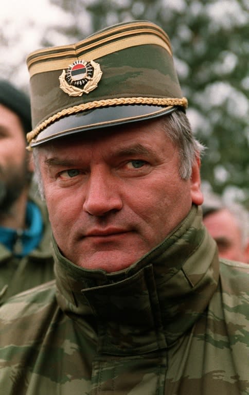 A photo taken on February 15, 1994 shows Bosnian Serb General Ratko Mladic in Sarajevo