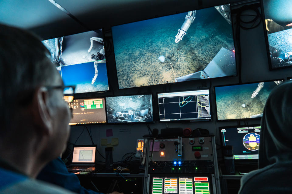 Using a Remotely Operated Vehicle (ROV), researchers were able to obtain over 12,000 images of the seafloor resulting in the identification of over 30,000 megafauna.