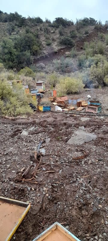 Damaged hives are seen after heavy rains hit Chilean central and southern regions, in O'Higgins region