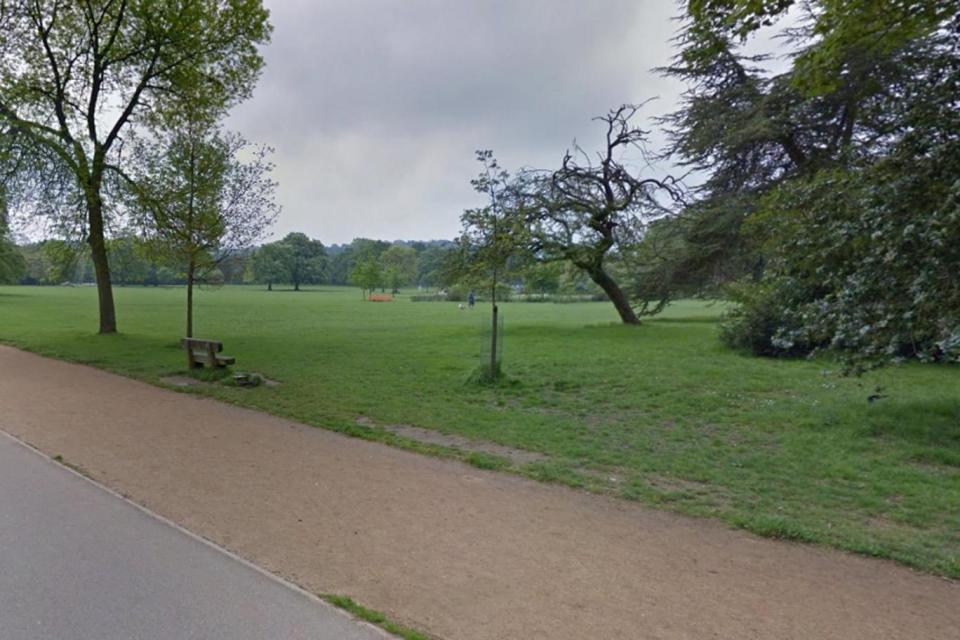 Dulwich Park: the grassy area is located in the heart of the leafy south London neighbourhood of Dulwich (Google)