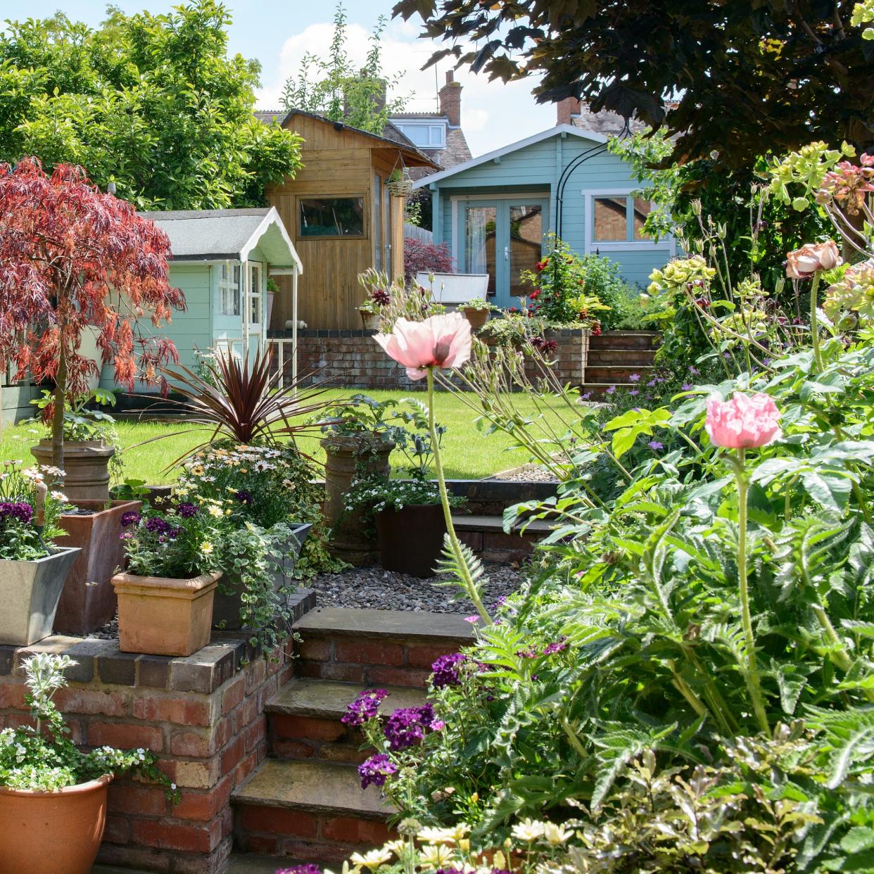  Summer garden with wooden table and chairs, plants, steps trees and shed. 