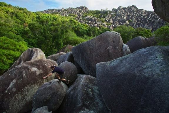 Earlier this year, scientists set out to explore a place where few humans have tread: the rain forest of Australia's Cape Melville Range. Surrounded by massive boulders, the mountain range has been largely cut off for millions of years and is h