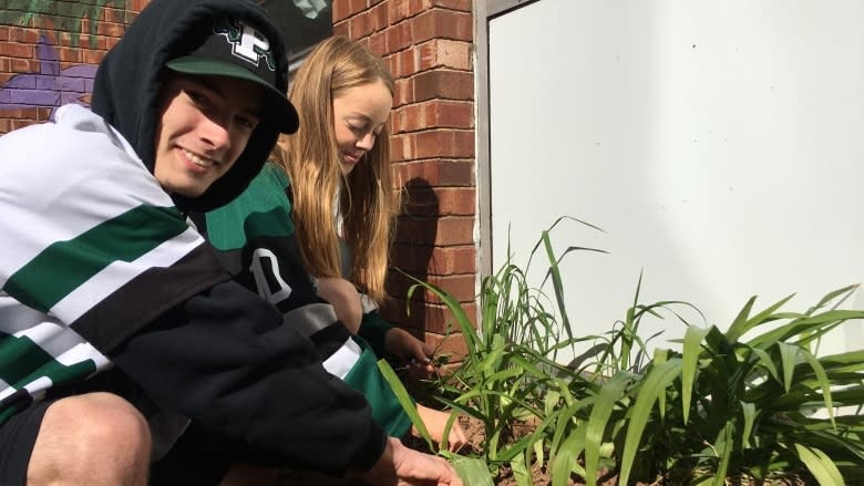 Why a group of P.E.I. students is gardening as part of their schoolwork