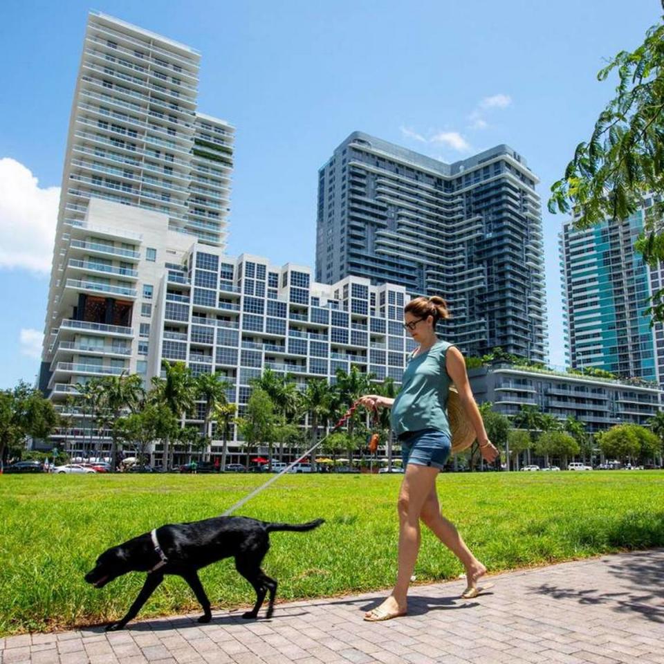 Midtown Miami is a section of the city where there are several large apartment buildings asking higher rents. In this file photo, a woman walks her dog in that neighborhood.