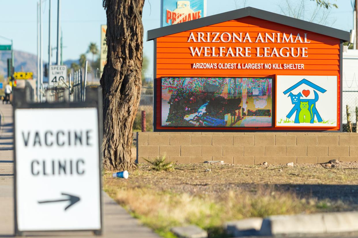 Arizona Animal Welfare League is waiving adoption fees as shelters see an increase in pets.