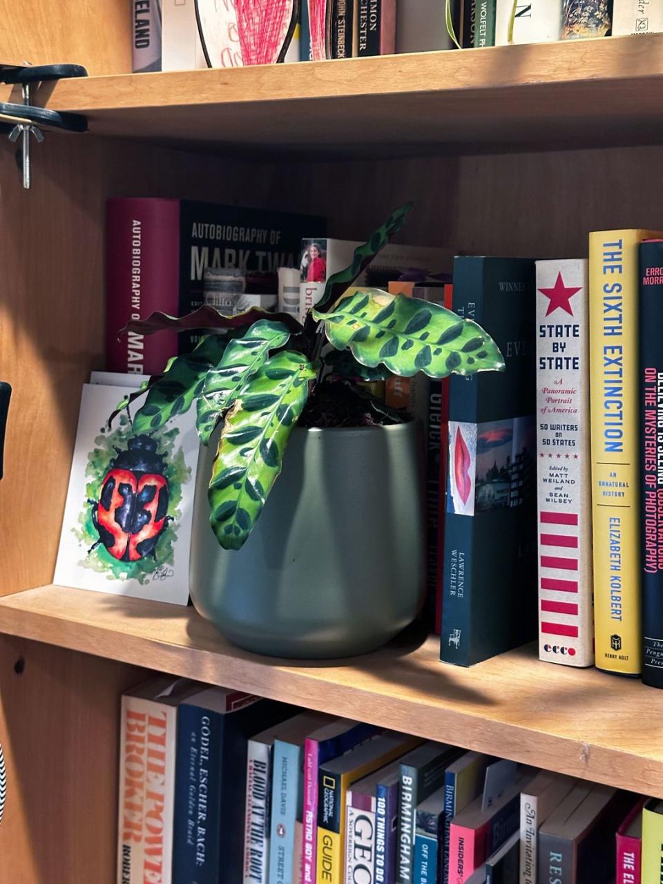 a shelf with books and a pot on it