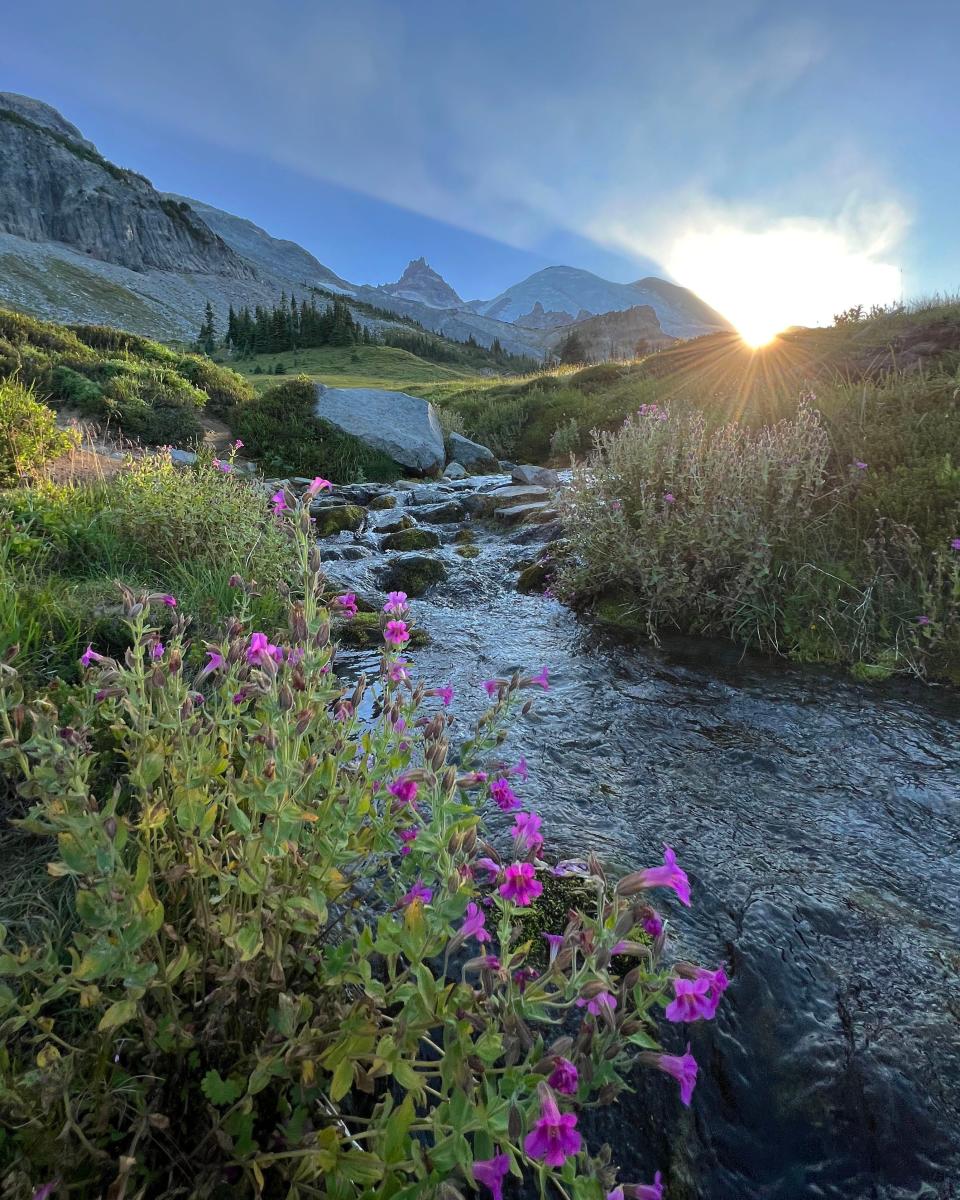 The sun rises over Summerland at Mount Rainier National Park