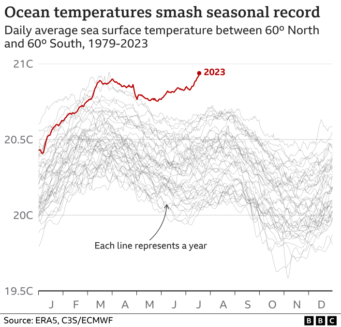 Gráfico de líneas múltiples que muestra la temperatura global promedio diaria de la superficie del mar, con una línea para cada año entre 1979 y 2023. Desde principios de mayo, la línea de 2023 muestra temperaturas en aumento a 20,9 °C el 16 de julio, mientras que años anteriores muestran temperaturas en descenso.