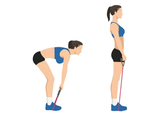 resistance band deadlift