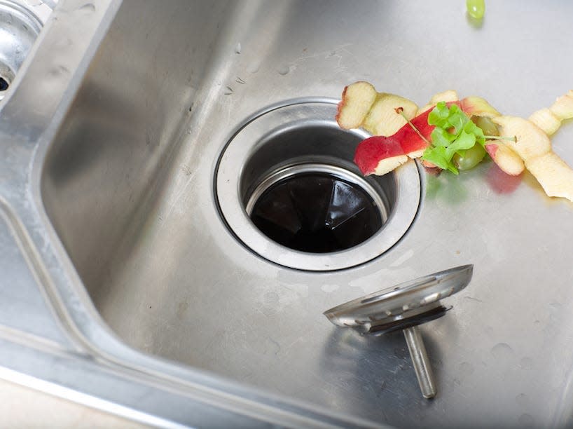 Food scraps in a sink with a garbage disposal.