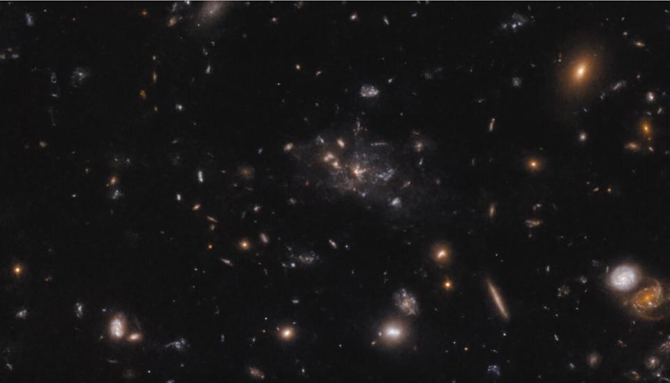 This image shows the protocluster around the Spiderweb galaxy, formally known as MRC 1138-262. The light that we see in the image shows galaxies at a time when the universe was only 3 billion years old. Most of the mass in the protocluster does not reside in the galaxies, but in the gas known as the intracluster medium. Because of the mass in the gas, the protocluster is in the process of becoming a massive cluster held together by its own gravity.