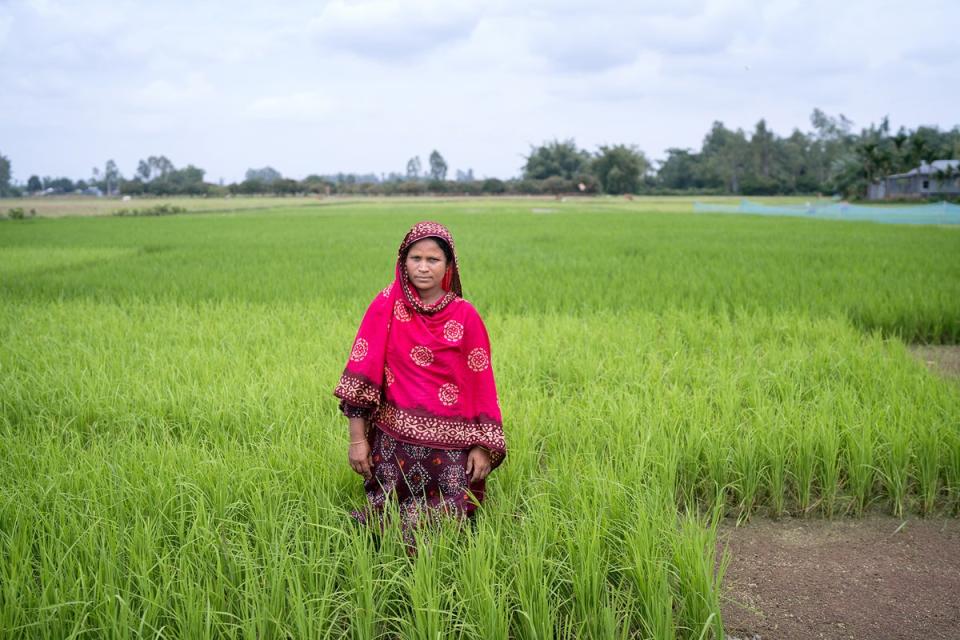 Rozina has been able to shield her family from the inflated prices of products on the market by producing her own seeds, growing vegetables using a self-made organic fertiliser and selling her produce (ActionAid)