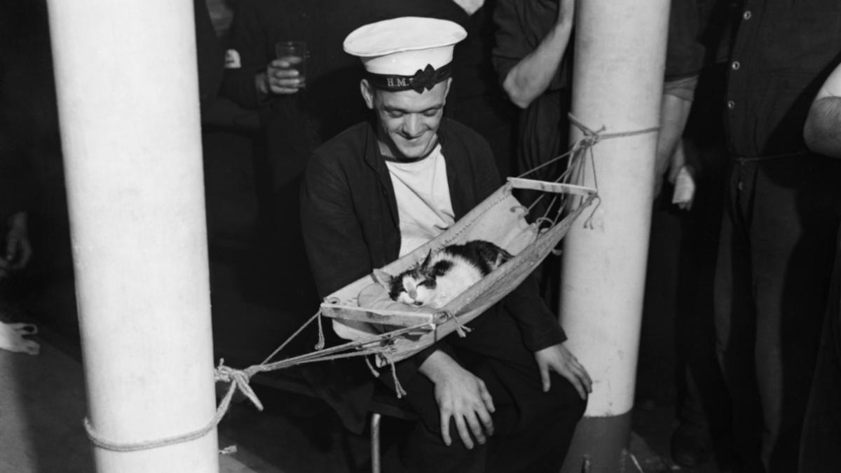 https://www.gettyimages.co.uk/detail/news-photo/royal-navy-mascot-convoy-hms-hermione-gibraltar-26-november-news-photo/154417442?adppopup=true