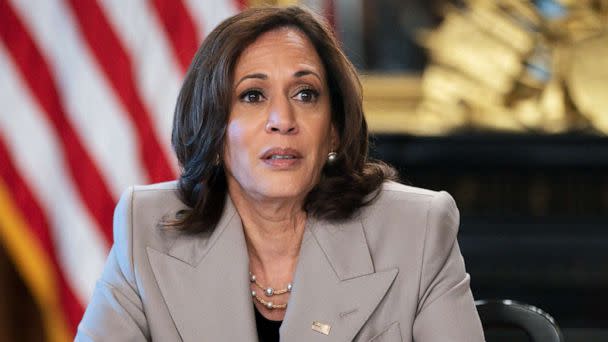 PHOTO: Vice President Kamala Harris speaks while meeting with state legislators about protecting reproductive rights in Washington, July 8, 2022. (Jacquelyn Martin/AP)
