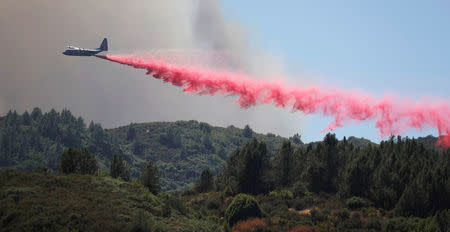 An air tanker drops fire retardant to slow the spread of the River Fire (Mendocino Complex) near Lakeport, August 1, 2018. REUTERS/Fred Greaves