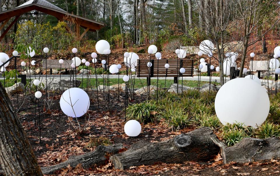 Globes pepper The Rambles as the New England Botanic Garden at Tower Hill in Boylston sets up its 2022 Night Lights for the holidays.