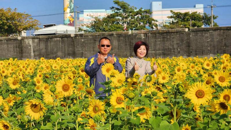 花在彰化春遊溪州　向日葵黃金花海夯景點