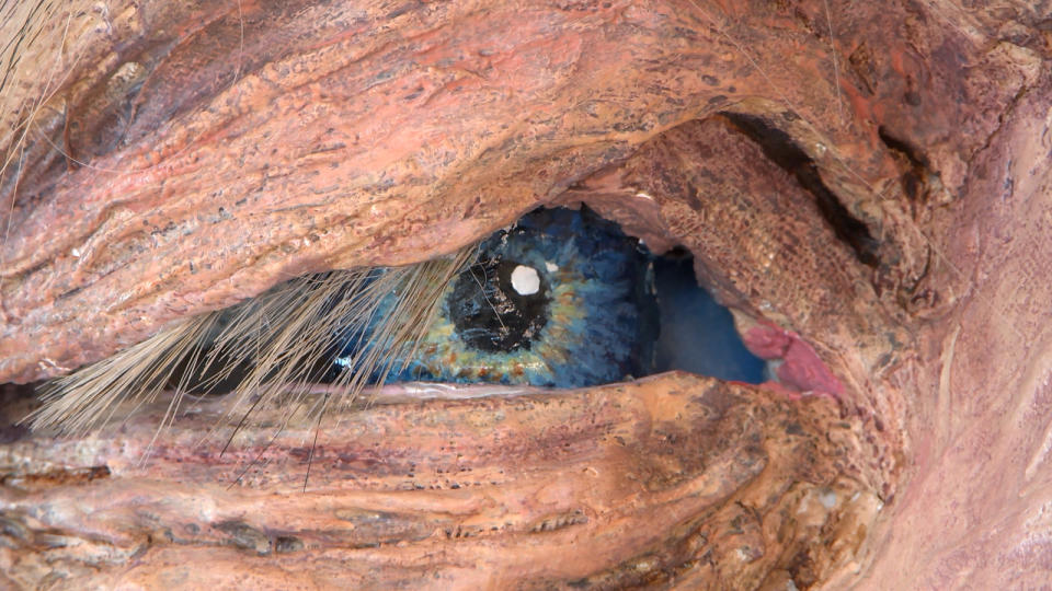 The eyes of the puppet are already painted with horse hair used for the eyelashes and eyebrows.