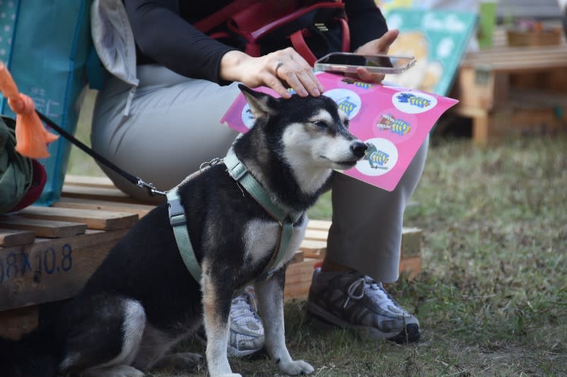 幸福動物友善城市　各行各業加入動物友善空間認證   